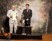Boston Terrier #6 Sat G3 Mceananey Candice Jami Robert Mangum Judge Bradley Jenkins