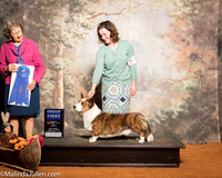 Cardigan Welsh Corgi #5 Sat G1 Cantrell Helen Judge Patricia Johnson