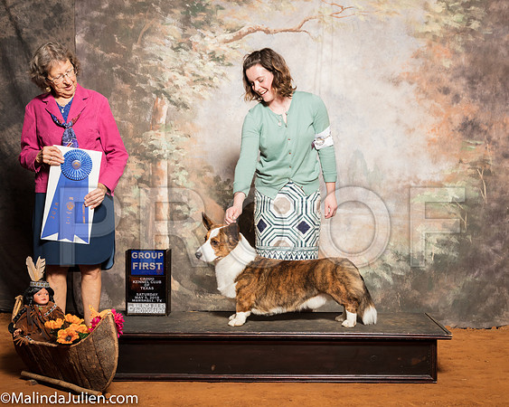 Cardigan Welsh Corgi #5 Sat G1 Cantrell Helen Judge Patricia JohnsonSSR_1316-Mj-HR3