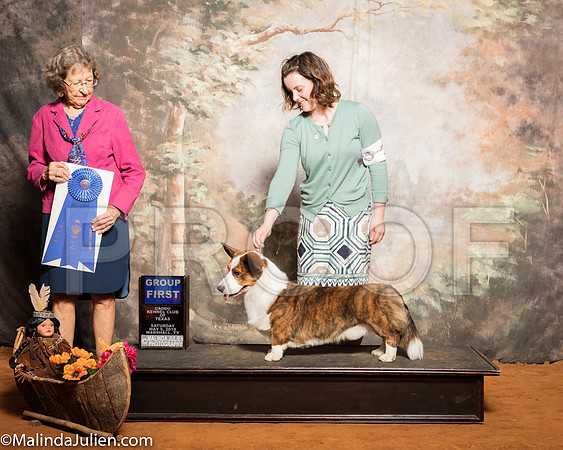 Cardigan Welsh Corgi #5 Sat G1 Cantrell Helen Judge Patricia JohnsonSSR_1319-Mj-HR3