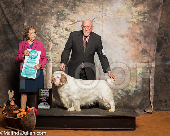 Clumber Spaniel #5 Sat OHBIS Holman Peggy Milford Cole Raina Moss Judge Patricia JohnsonSSR_1347-Mj-HR3