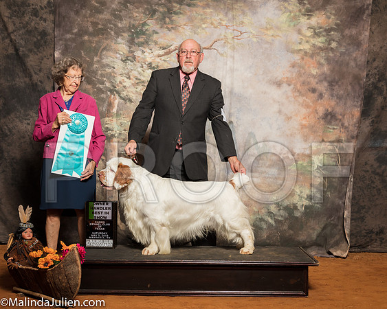 Clumber Spaniel #5 Sat OHBIS Holman Peggy Milford Cole Raina Moss Judge Patricia JohnsonSSR_1348-Mj-HR3