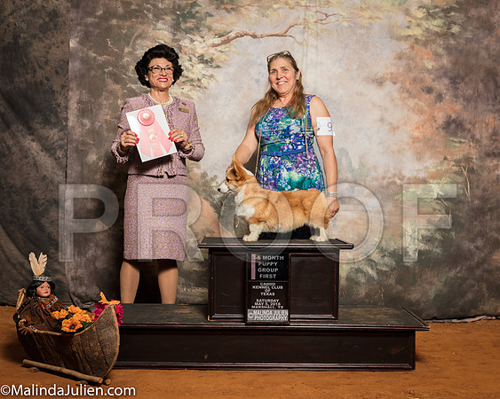 Corgi Pembroke #9 Sat 4-6G1 Schneider Tamera K Judge Linda ClarkSSR_1250-Mj-HR3