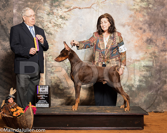 Dobereman Pinscher #15 Sat BOB McClendon Nikki Judge Dr Donald GillSSR_1049-Mj-HR3