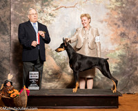 Doberman Pinscher #28 Sat SB Casanova Zelda Judge Dr Donald Gill
