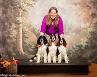 English Springer Spaniel #7 Sat Custom Misty Reed