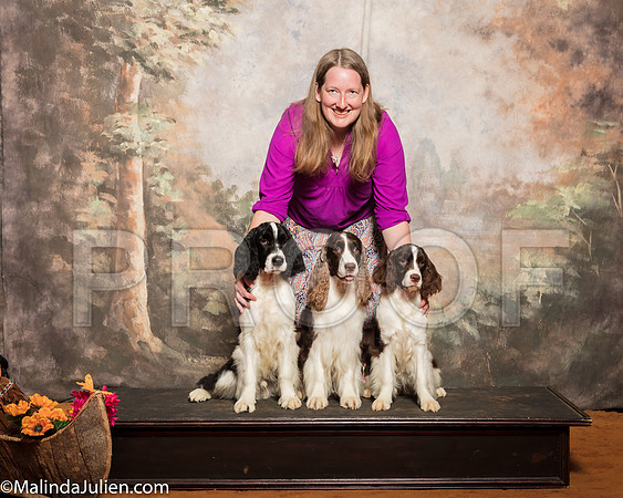 English Springer Spaniel #7 Sat Custom Misty ReedSSR_1137-Mj-HR3