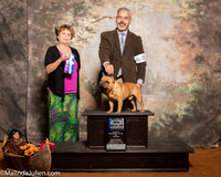 French Bulldog #24 Sat BOW Maj Clayton Kathy Judge Carol Jean Nelson