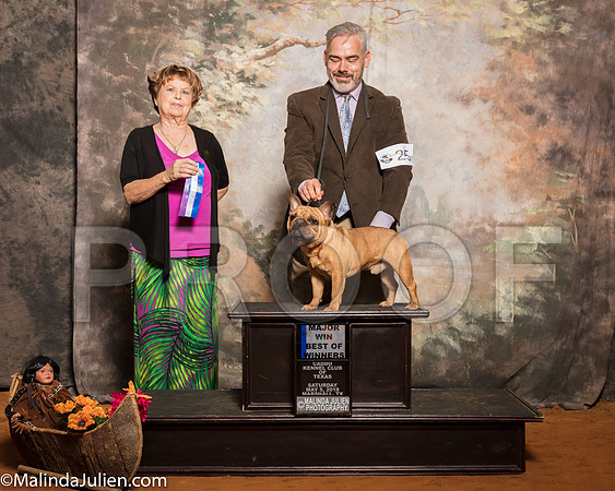 French Bulldog #24 Sat BOW Maj Clayton Kathy Judge Carol Jean NelsonSSR_1170-Mj-HR3