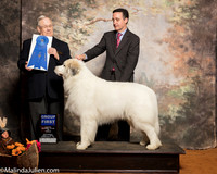 Great Pyrenees #5 Sat G1 Wadsworth Mark Penny jean Boyd Judge Dr Donald Gill