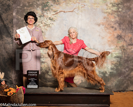 Irish Setter #8 Sat G4 Hill Lyn R Denise Adams Judge Linda ClarkSSR_1271-Mj-HR3