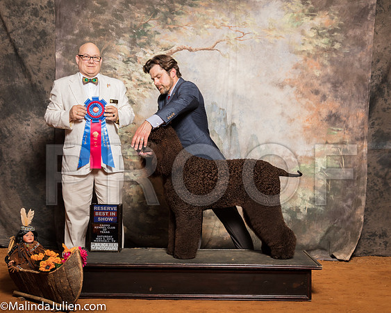 Irish Water Spaniel #5 Sat RBIS Barker Mark DVM Sondra Barker Judge Bradley JenkinsSSR_1340-Mj-HR3