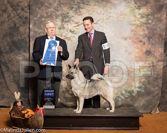 Norwegian Elkhound #6 Sat G1Mosing Jennifer Alie Cowan Renea Marting Judge Dr Donald GillSSR_1182-Mj-HR3