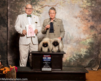 Pekingese #7 Sat Brace BIS Colleen Skinner Judge Bradley Jenkins