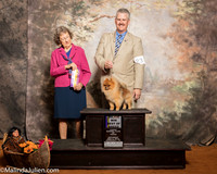 Pomeranian #23 Sat BOS Maj Armstrong Michael Christina Darlene Licastro Judge Carol Jean Nelson
