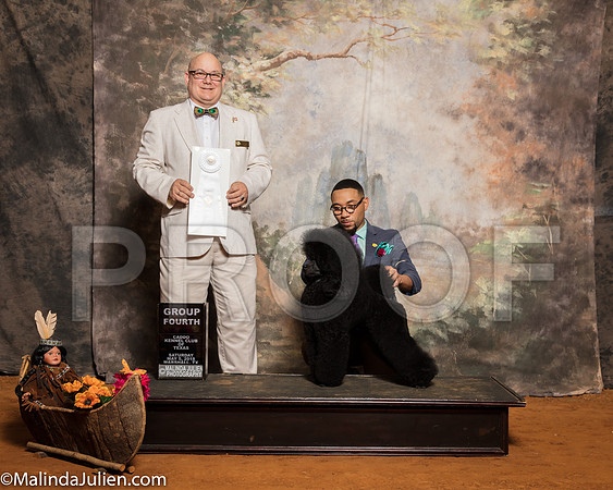 Poodle Miniature #7 Sat G4 Thomas Donna Michael Parks Judge Bradley JenkinsSSR_1231-Mj-HR3