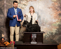 Scottish Terrier #6 Sat BOS Arnette Candace Judge Joao Machado