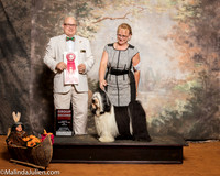 Tibetan Terrier #5 Sat G2 Planche Dina Sean Cathy Lydon Mikki DeMers Judge Bradley Jenkins