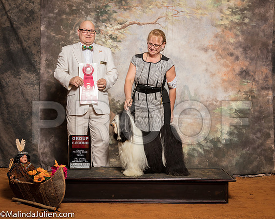 Tibetan Terrier #5 Sat G2 Planche Dina Sean Cathy Lydon Mikki DeMers Judge Bradley JenkinsSSR_1225-Mj-HR3