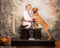 Vizsla #7 Sat BOB NC Donna Wilson Judge Linda Clark