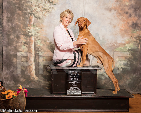 Vizsla #7 Sat BOB NC Donna Wilson Judge Linda ClarkSSR_1131-Mj-HR3