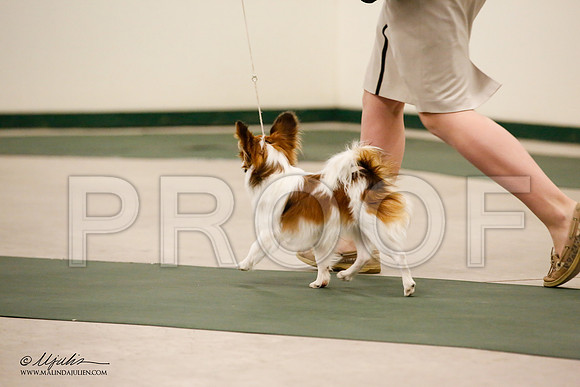 _JN_9106-NrmnNov2014-HR3