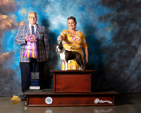 Boston Terrier #29 Wed BISS Judge Tom Davis