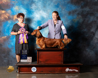 Dachshund Longhaired #11 Wed BISS Judge Debbie Melgreen