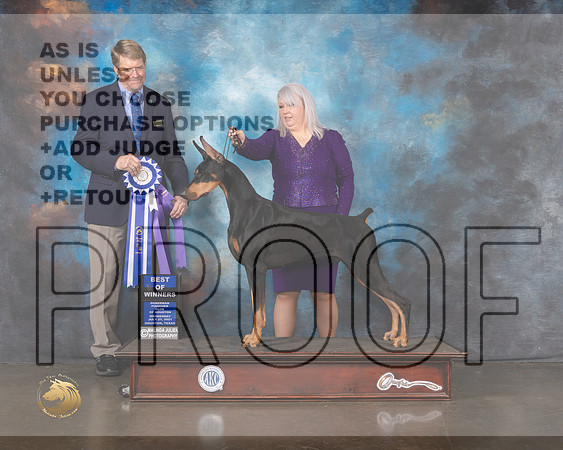 Doberman Pinscher #31 Wed WD BOW Judge Randy Garren-MMJ_0444-HOUSTON21-HR3