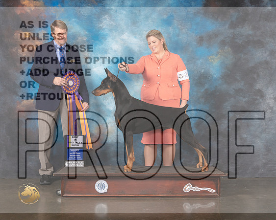 Doberman Pinscher #7 Wed BISS Judge Randy Garren-MMJ_0423-HOUSTON21-HR3
