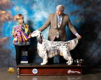 English Setter #11 Wed BISS Judge Peggy Beisel McIlwaine