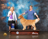 Golden #15 Wed WD Judge Julie Mackinnon