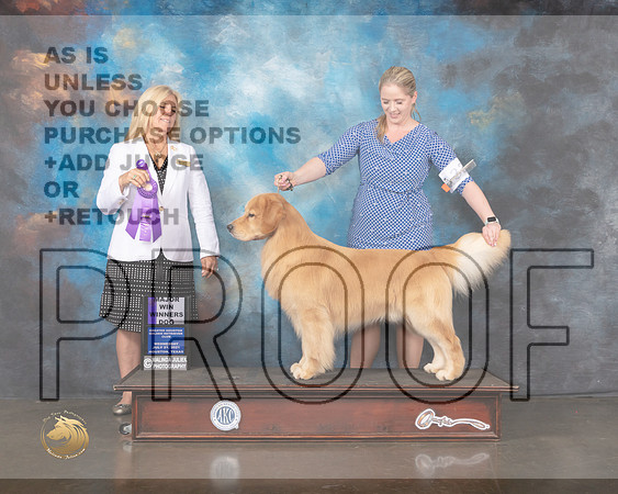 Golden #15 Wed WD Judge Julie Mackinnon-MMJ_0462-HOUSTON21-HR3