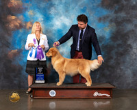 Golden #16 Wed WB BOW Judge Julie Mackinnon