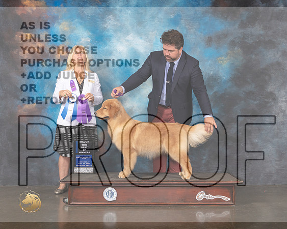 Golden #16 Wed WB BOW Judge Julie Mackinnon-MMJ_0496-HOUSTON21-HR3