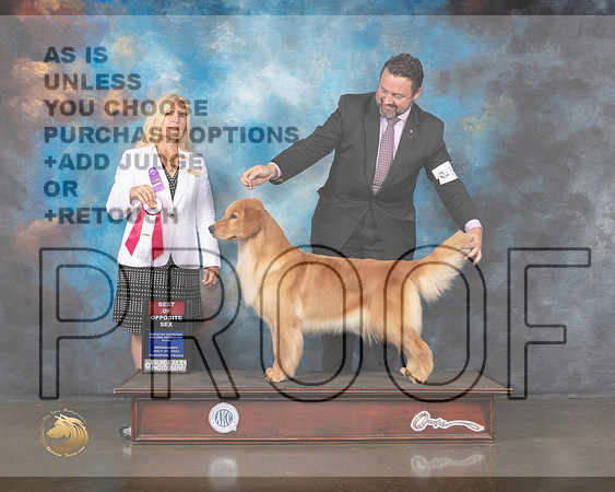 Golden #18 Wed BOS Judge Julie Mackinnon-MMJ_0484-HOUSTON21-HR3