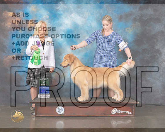 Golden #28 Wed AOM Judge Julie Mackinnon-MMJ_0469-HOUSTON21-HR3