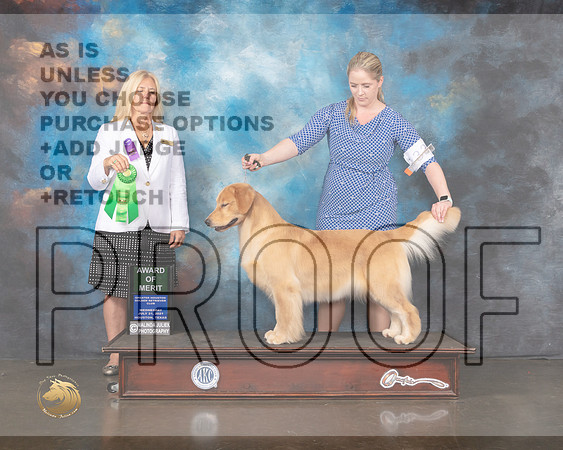 Golden #28 Wed AOM Judge Julie Mackinnon-MMJ_0471-HOUSTON21-HR3