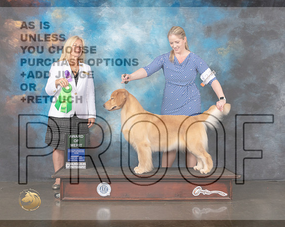 Golden #28 Wed AOM Judge Julie Mackinnon-MMJ_0473-HOUSTON21-HR3