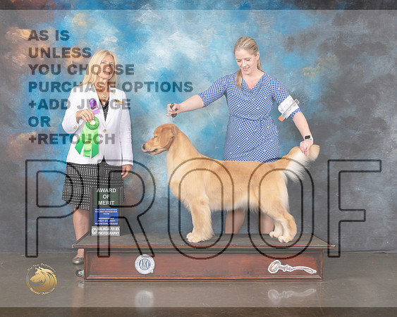 Golden #28 Wed AOM Judge Julie Mackinnon-MMJ_0475-HOUSTON21-HR3