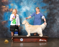 Golden #32 Wed  BV Judge Julie Mackinnon