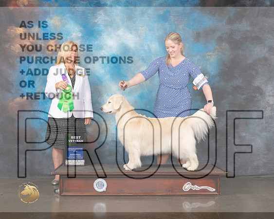 Golden #32 Wed  BV Judge Julie Mackinnon-MMJ_0465-HOUSTON21-HR3