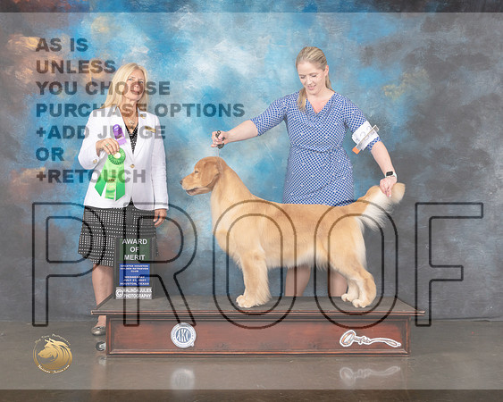 Golden #28 Wed AOM Judge Julie Mackinnon-MMJ_0476-HOUSTON21-HR3