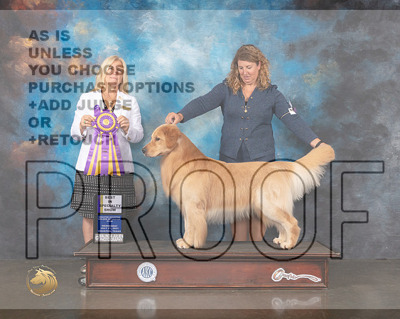 Golden #57 Wed BISS Judge Julie Mackinnon-MMJ_0510-HOUSTON21-HR3