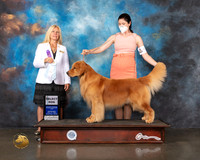 Golden #59 Wed SD Judge Julie Mackinnon