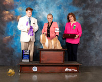 Lhasa Apso #10 Wed WB Major Judge Ronny Junkins