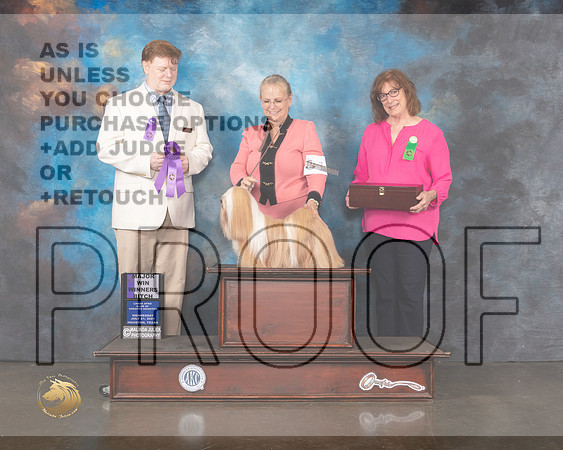 Lhasa Apso #10 Wed WB Major Judge Ronny Junkins-MMJ_0400-HOUSTON21-HR3