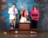 Lhasa Apso #9 Wed WD BOW Major Judge Ronny Junkins