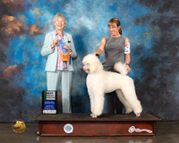 Poodle Std #26 Wed BBE Judge Sharon Newcomb