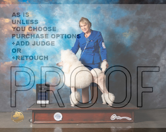 Poodle Std #42 BVetSweeps Judge Larry Dewey-MMJ_0831-HOUSTON21-HR3